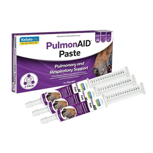 image of PulmonAID Paste (3 Pack)