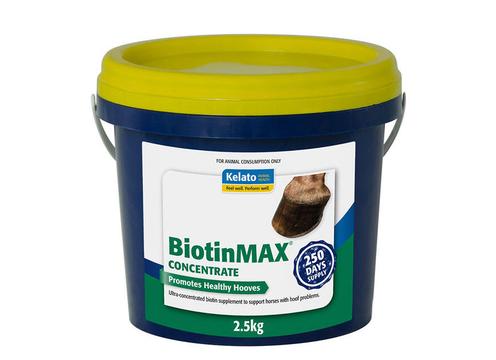 product image for BiotinMAX Concentrate