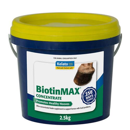 image of BiotinMAX Concentrate