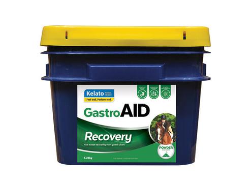 product image for GastroAID Recovery