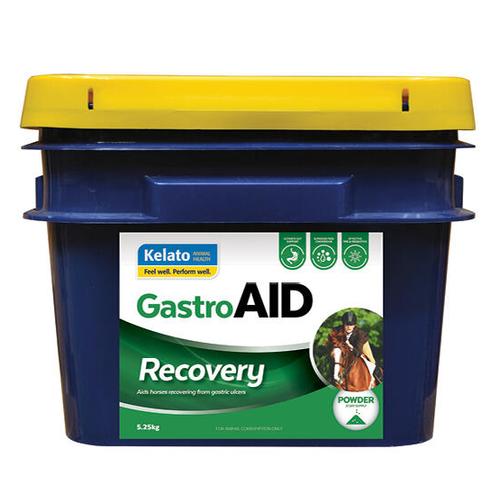 image of GastroAID Recovery