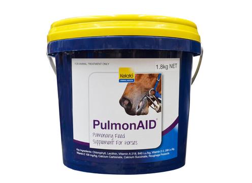 product image for PulmonAID