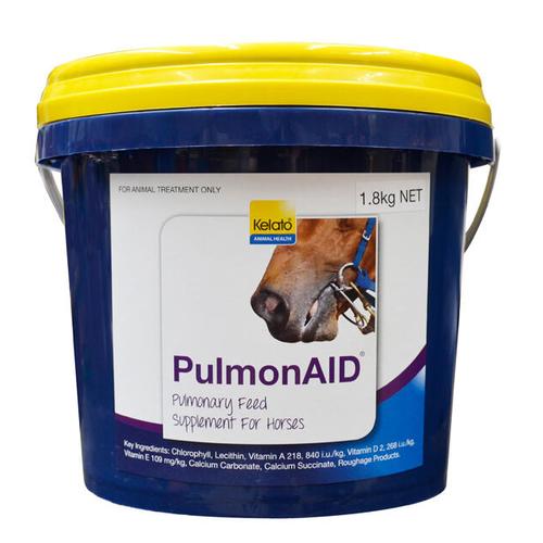 image of PulmonAID